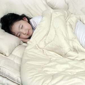 sleep-beyond-organic-wool-comforter